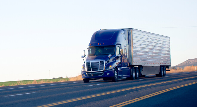 Global forwarding shippers